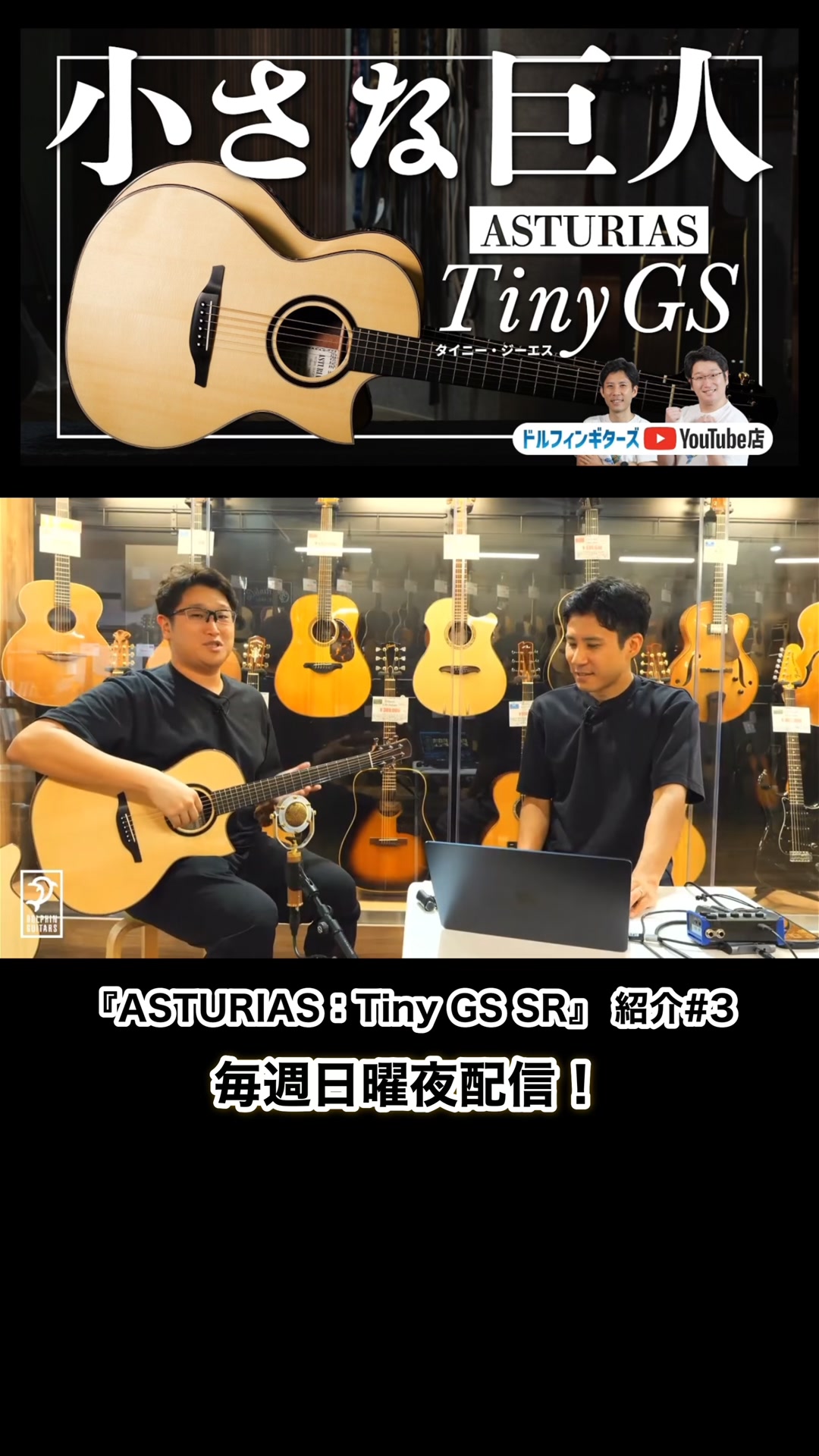 Dolphin Guitars(ドルフィンギターズ） | Suita-shi Osaka