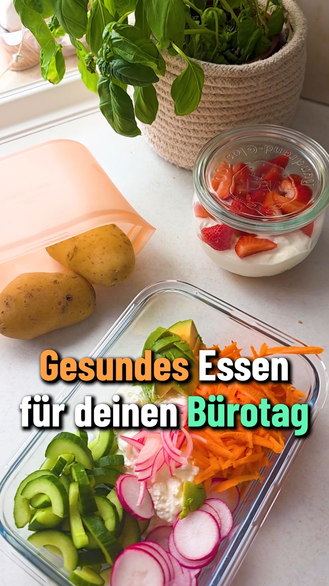 angelwürmer aufbewahren Natursache BigBox Gartenbank Pola: Der Geheimtipp GeschenkeEB Sorte:N565