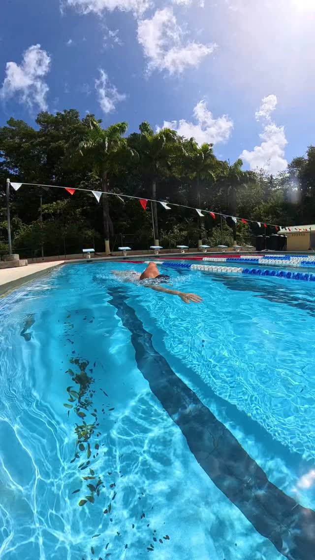 Middle-Distance/Long-Distance swimmers possess mental and physical ...