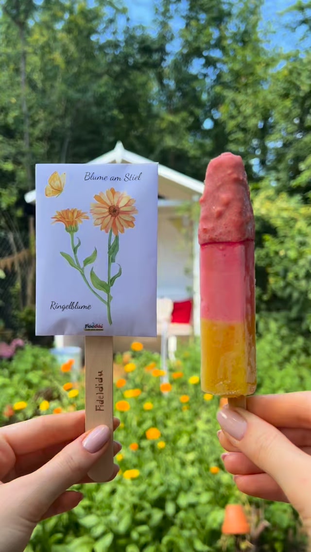 Dieses Eis am Stiel schmilzt nicht... es blüht! 🍦🌸✨ , Das sind unsere Blumen am Stiel! 🥰, Statt einer kalten Erfrischung gibt es hier die pure Blütenpracht. Ihr könnt in unserem Shop eure