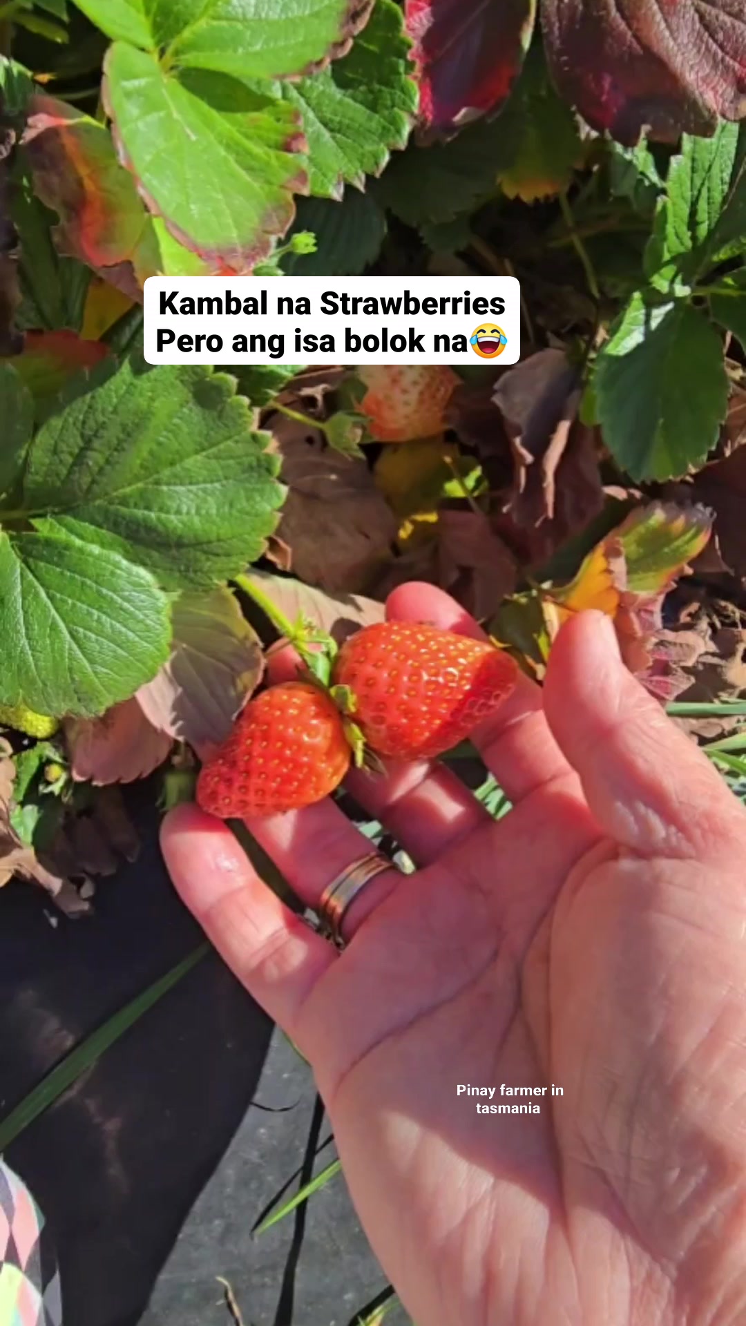 Tapon na ang isa #fbreelsfypシ゚viralfbreelsfypシ゚viral #fbreelsfyp # ...