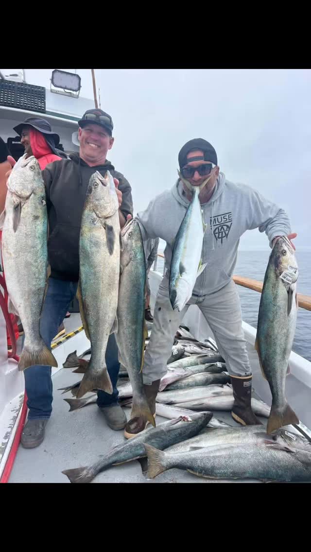 Thanks @reycruz208 for the great group of guys. Limits of sheep and ...