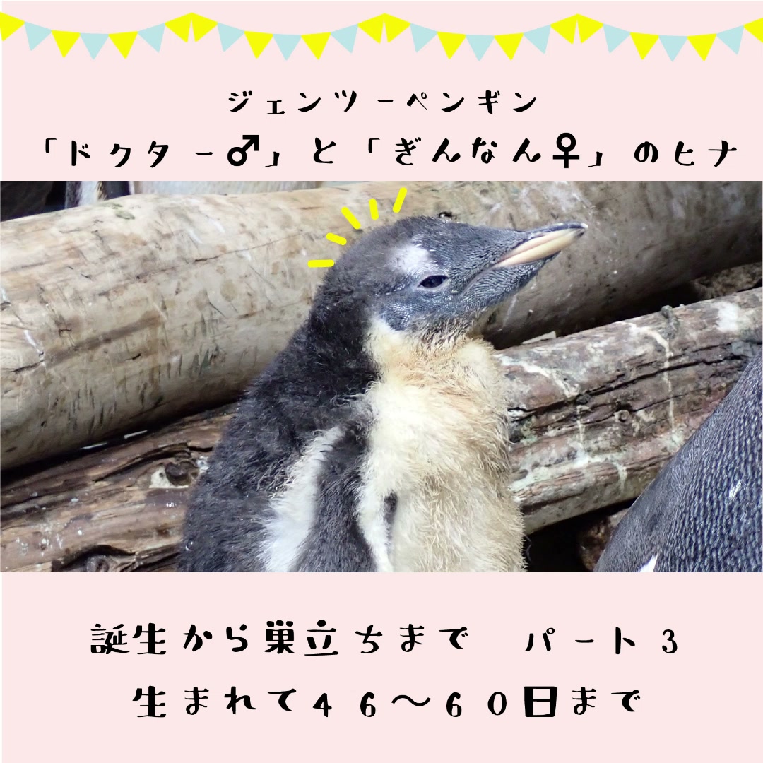 下関市立しものせき水族館「海響館」 | Shimonoseki-shi Yamaguchi