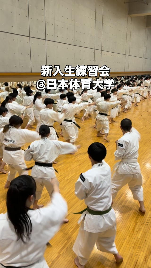 創部100年以上の歴史を持つ慶應義塾體育會空手部の普段の練習に潜入