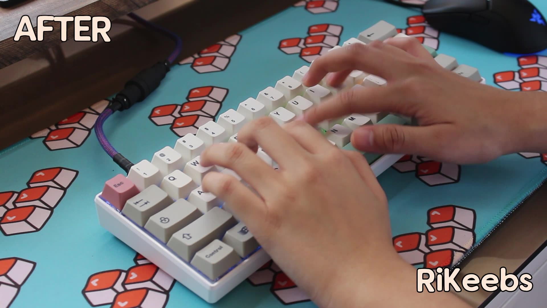 RK61 - Stock Switches | Modded Keyboard Build Thank you to the client ...