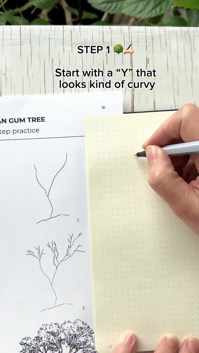 How To Draw a Tree 🌳 🏻 This is actually an Australian Gum Tree 😊 It ...