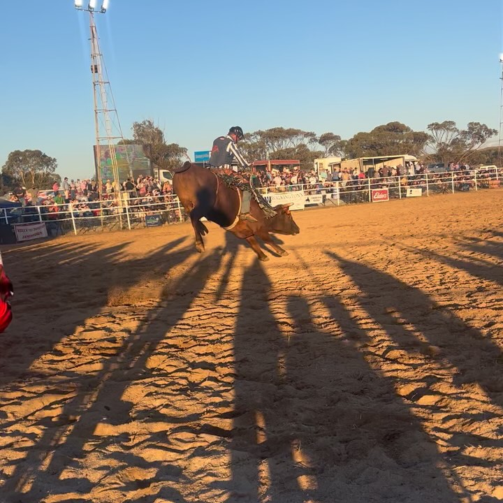 Carrieton Rodeo