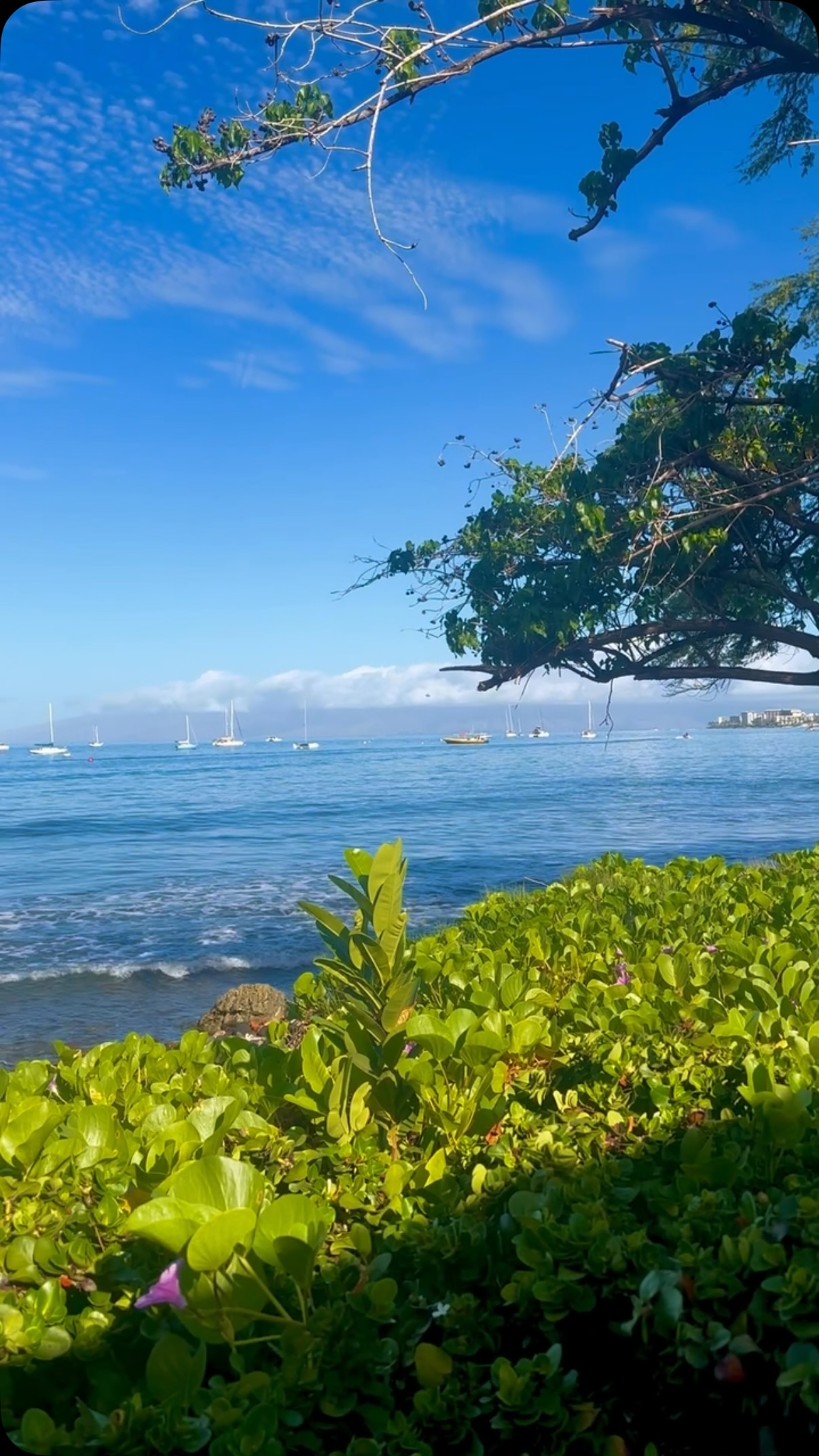 Weekend mode: ocean sounds only🌊🌴 A little salt air, and nowhere