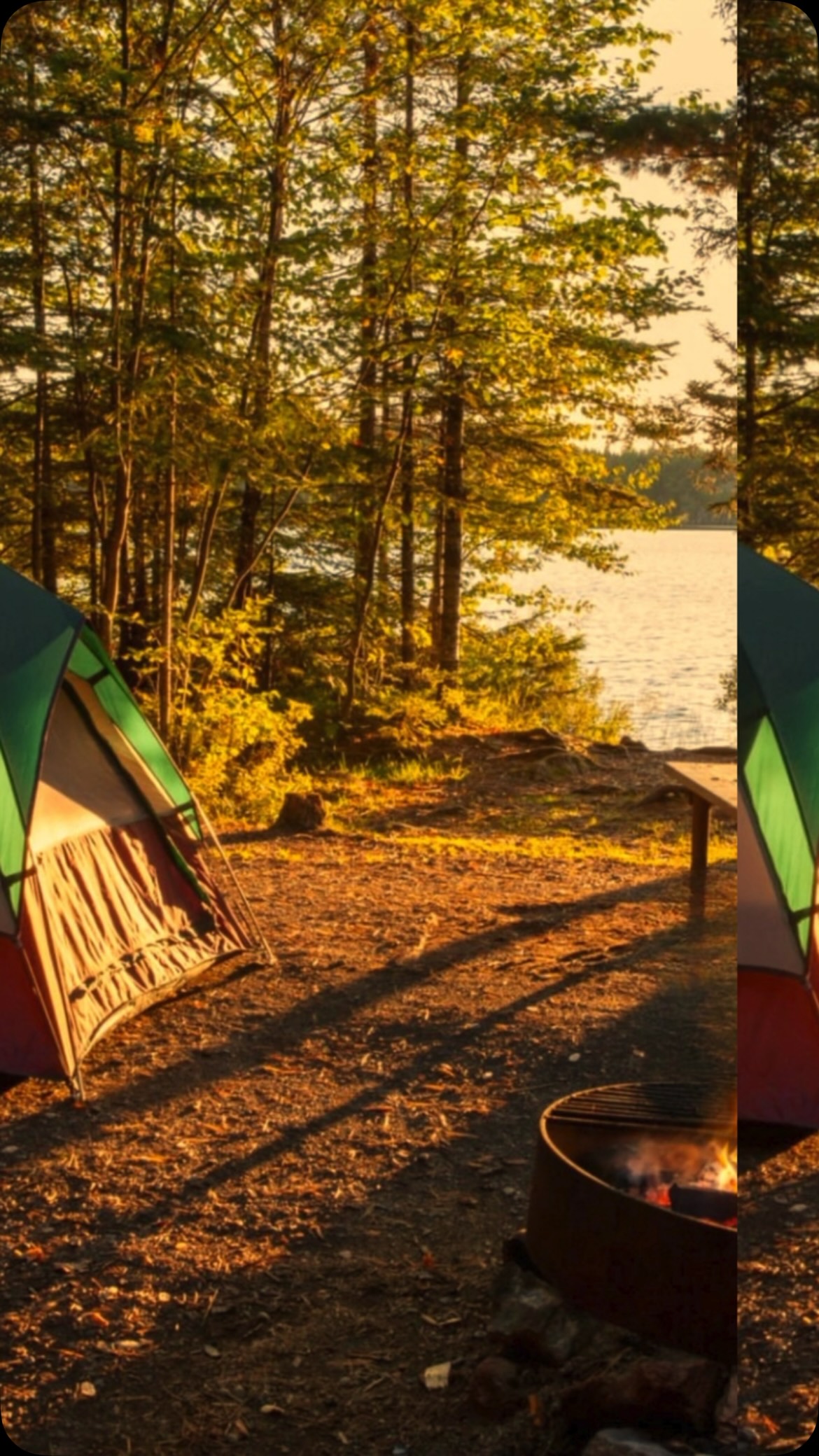 nachtangeln holland zelt Ydun Sky Glamping-Zelt Color:YELLOW/BLACK CLP Fahrradanhänger Lastenanhänger Haarlem, RABATTKODE