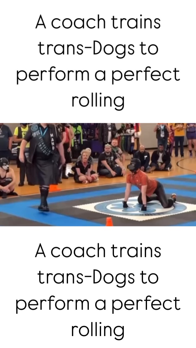 A coach trains trans-dogs to perform a perfect rolling. Some LGBTQ+ ...