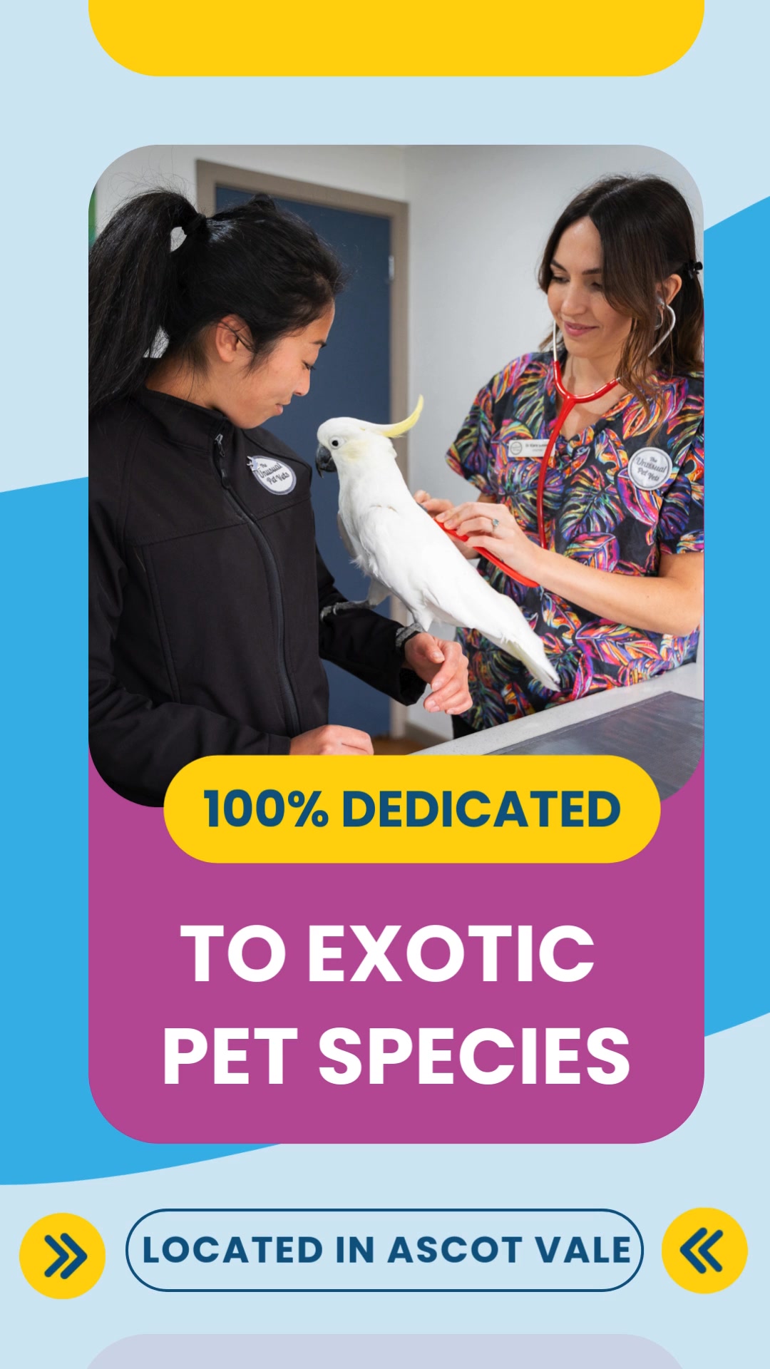 Visual Reference: The Unusual Pet Vets Gold Coast Is 𝗡𝗢𝗪 𝗢𝗣𝗘𝗡 And