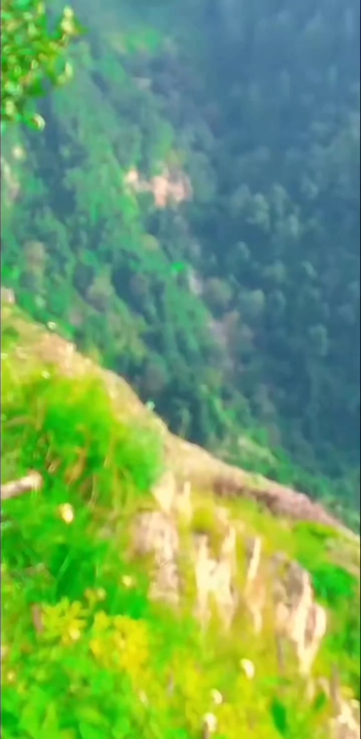 ?media_id=1075314521469190&get_thumbnail=1