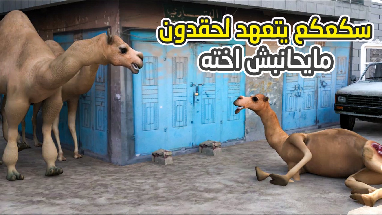 143 - سكعكع يتعهد لحقدون مايحانبش اخته | الحب يهين الرجال #يوميات_طافش ...