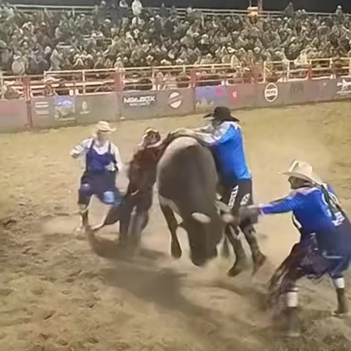 Logan Blasdell to the rescue! 💥🐂 In a heart-stopping moment, this ...