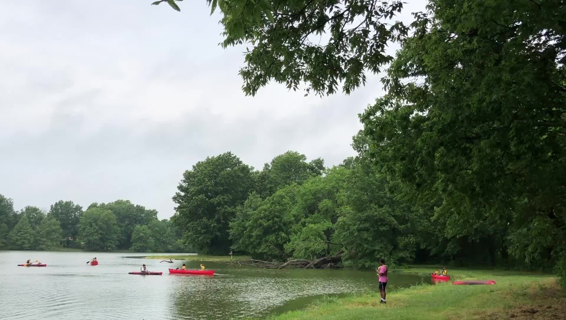 DISCOVER NATURE FIELD DAYS: MDC’s Kathleen Savaiano tells us about the ...