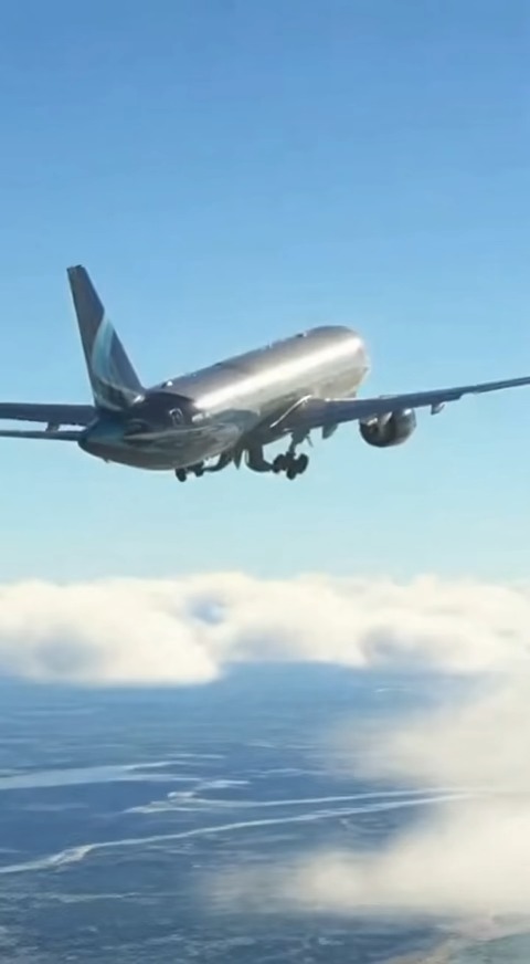 AviationView#PlaneLovers#SkyFlight | The Flying Horizon | Facebook