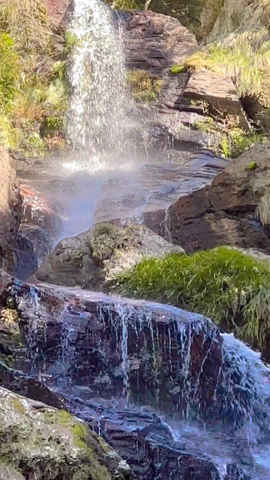 Choshi Falls: Choshi Falls, Okawa Village #Choshi Falls #銚子滝