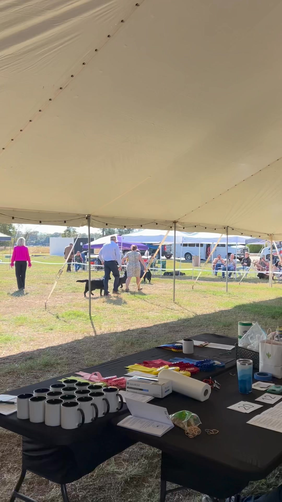 Andi had a fantastic weekend at her first Labrador specialty show this ...