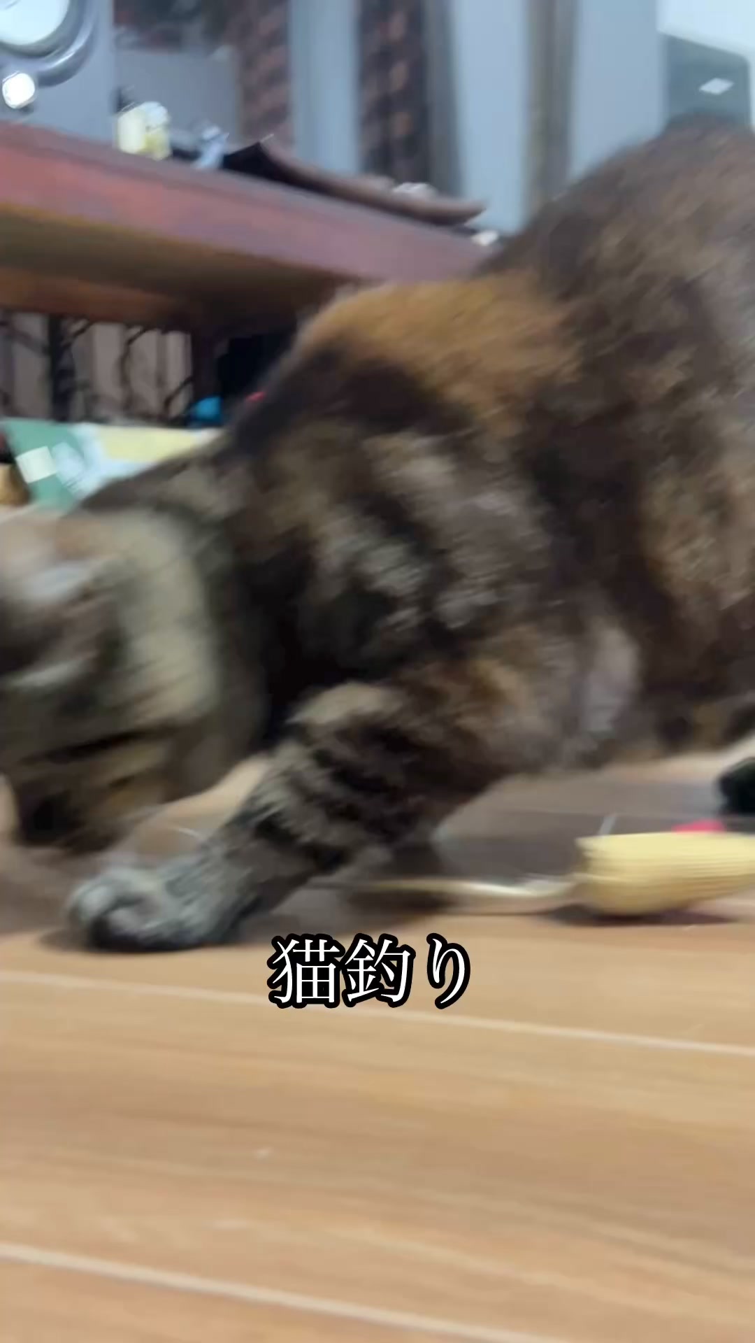 にゃん助さん
