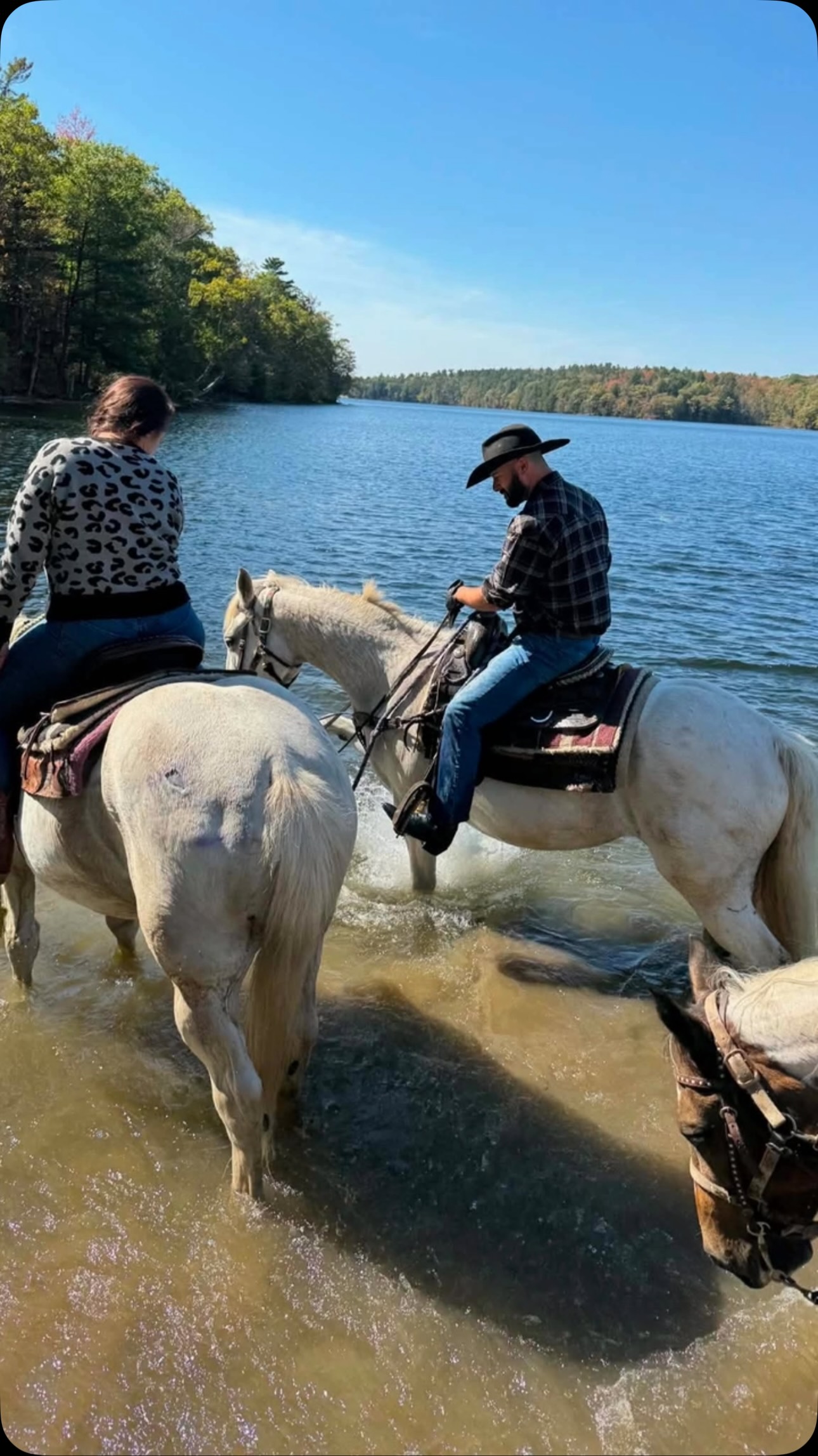 One Trick Pony Guided Horseback Trail Rides NY | Johnsonville NY