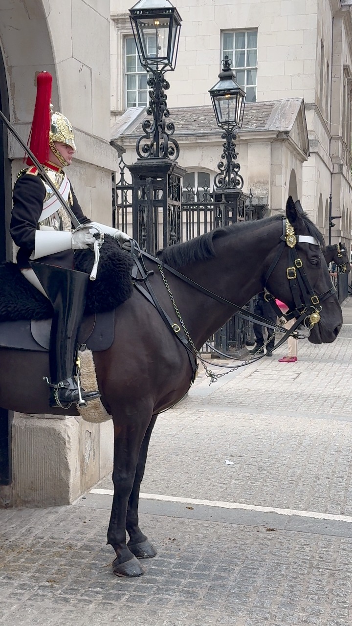 Magnificent!” #horseguard #RoyalEncounters #EquestrianJoy # ...