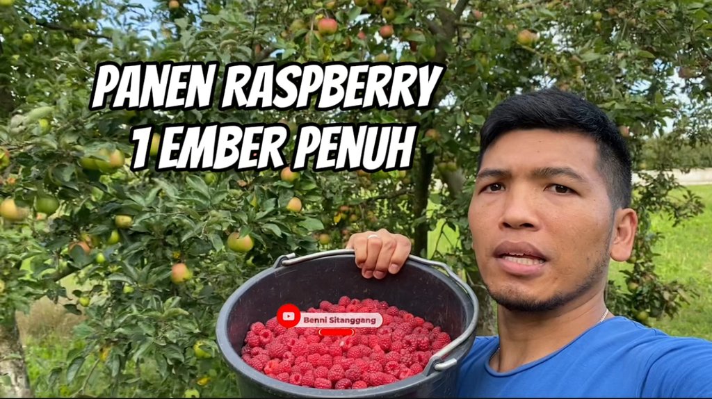 Dikampung teman Mertua Ukraina Apel melimpah dan panen Raspberry se ...
