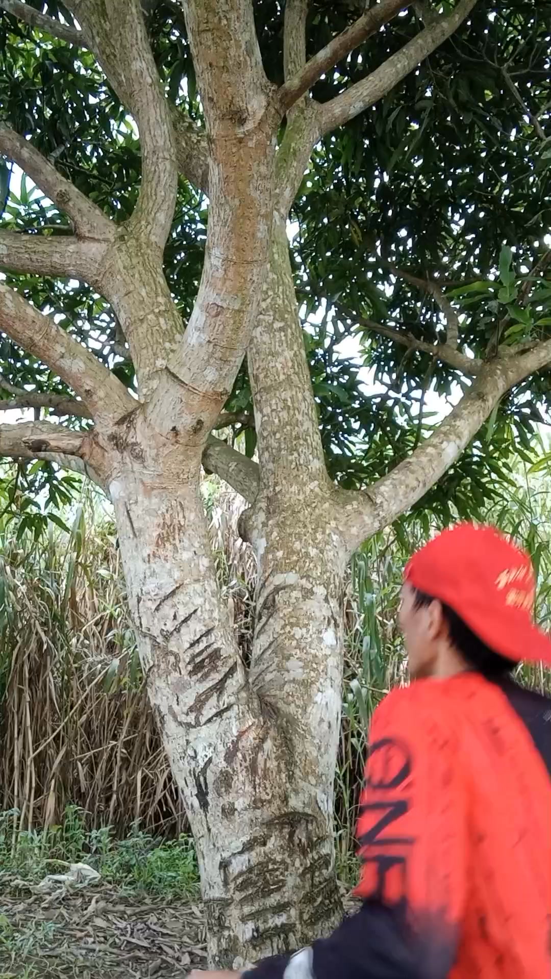 ayay ang laki ng bulati🤣🤣🤣 #comedyreelsfunnymoment | BAMZ. TV | Facebook
