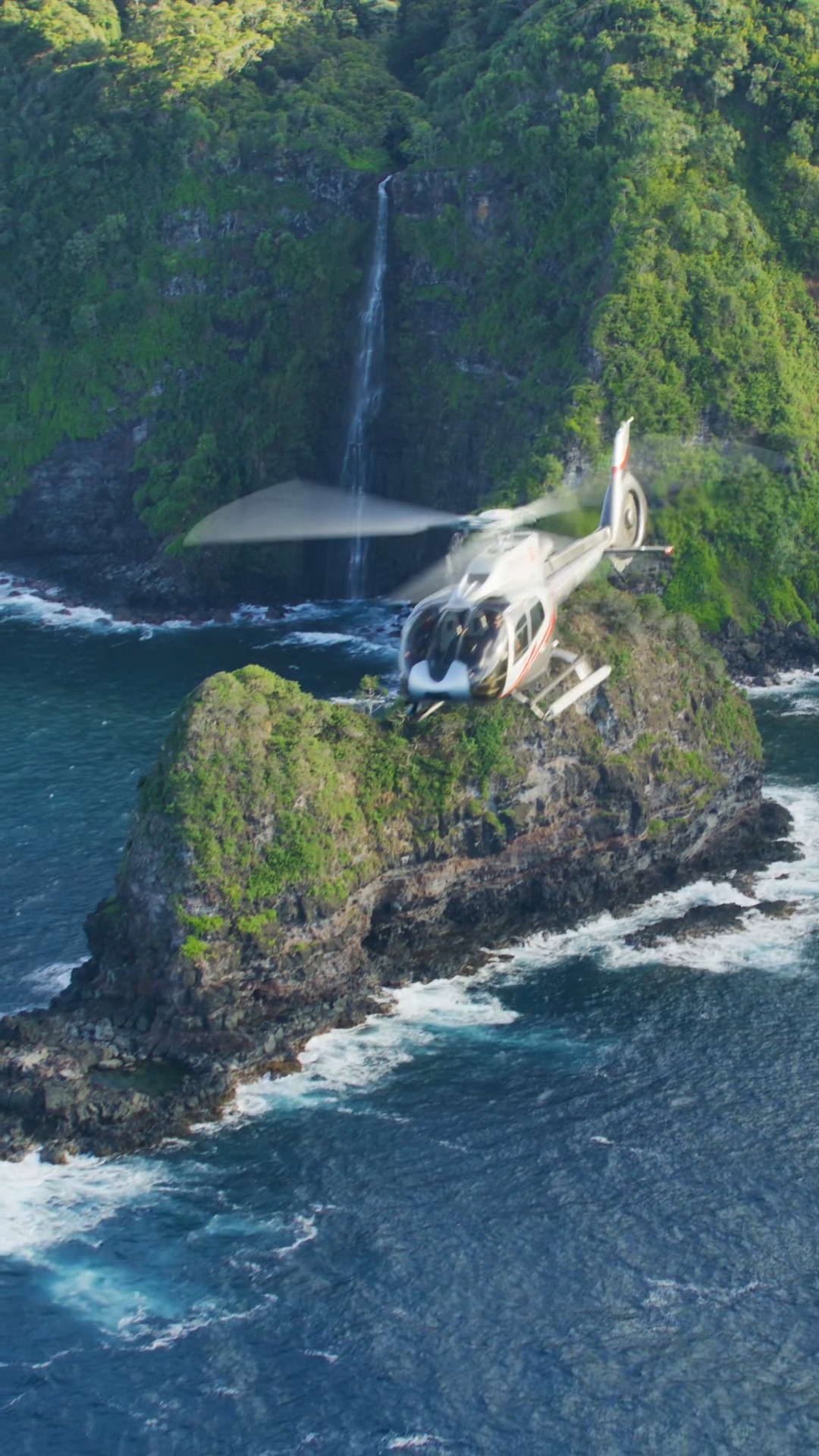 One of the highlights of our Hana Rainforest Experience is seeing