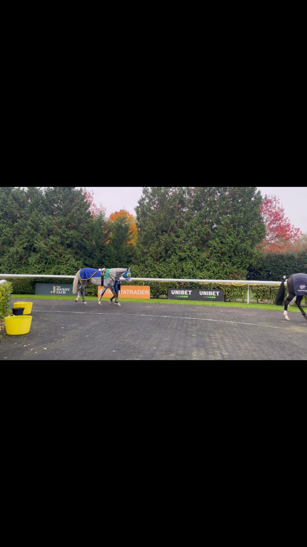 Equestrian R Infinity Limited | Epsom