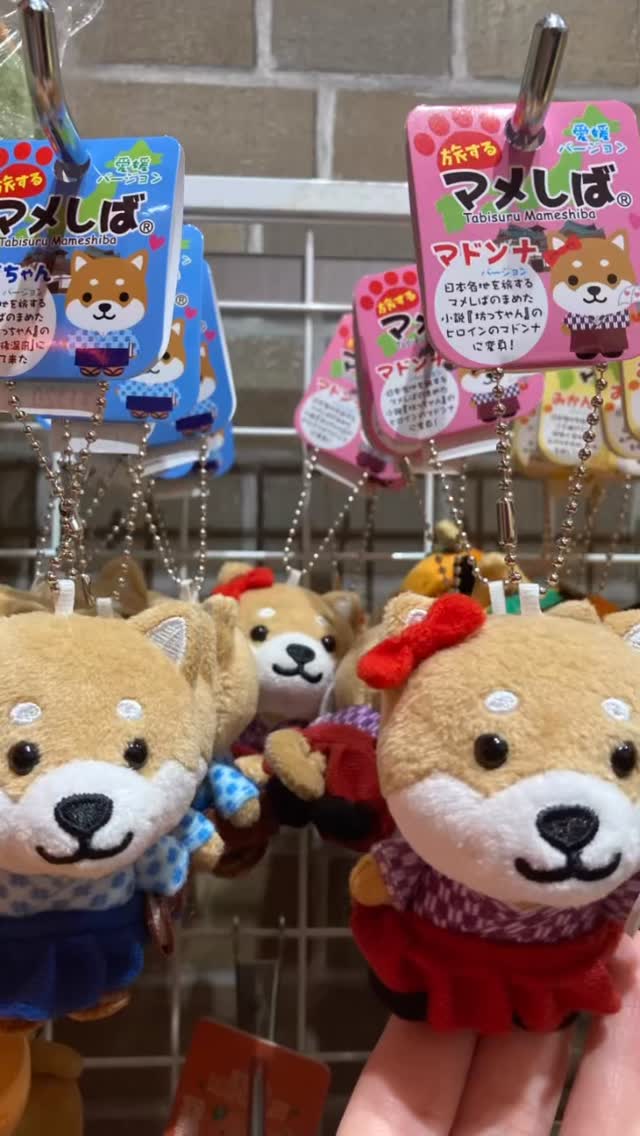バリィさんグッズ #バリィさんキャストストラップ #バリィさん #道後お