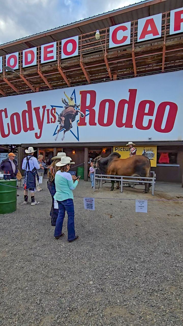 Assistimos a um Rodeo nos USA! E é a loucura 🤣 Não foi fácil entender ...