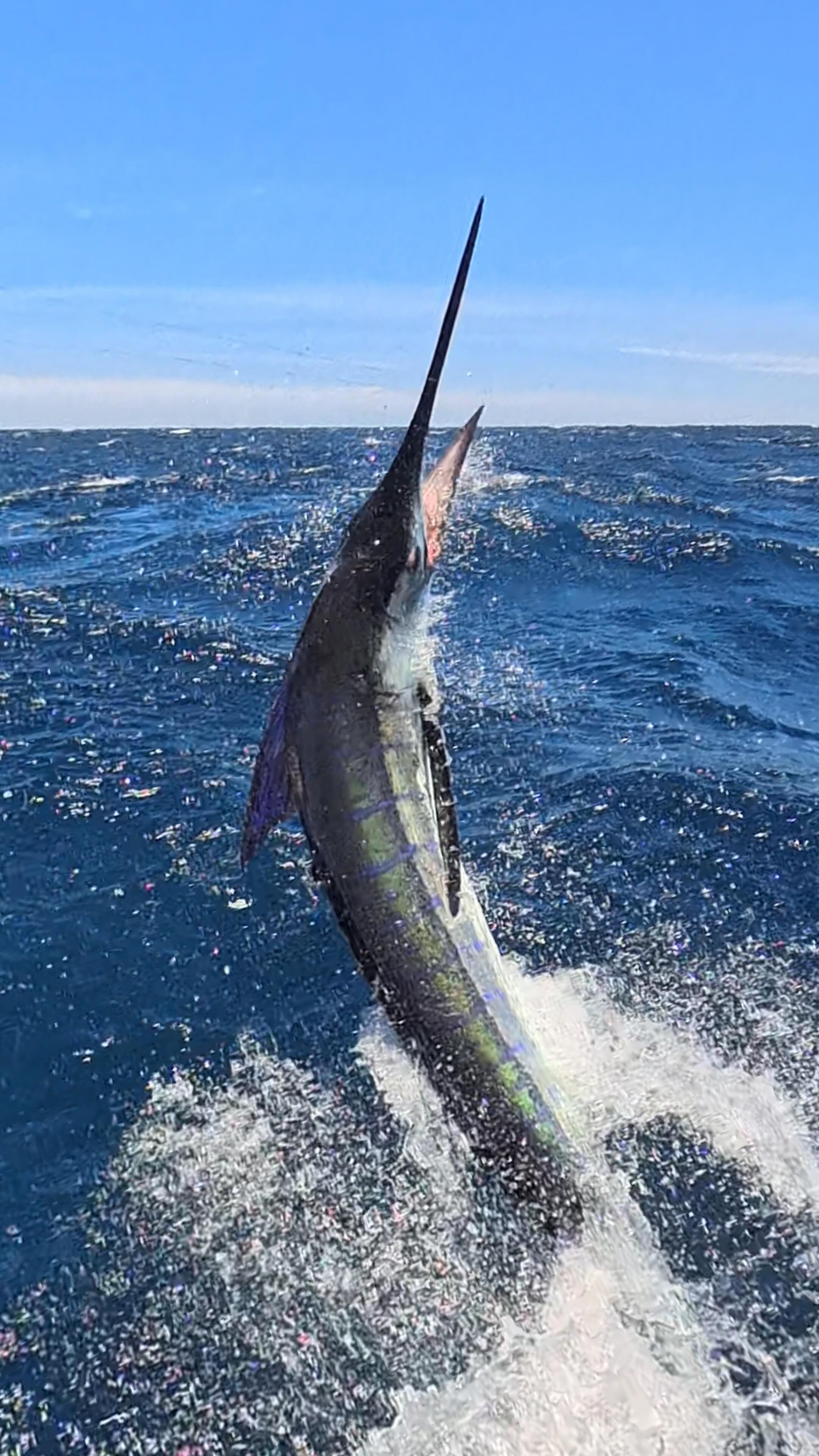 @peak_sportfishing well done again putting @j.riseley on the fish. Nice ...