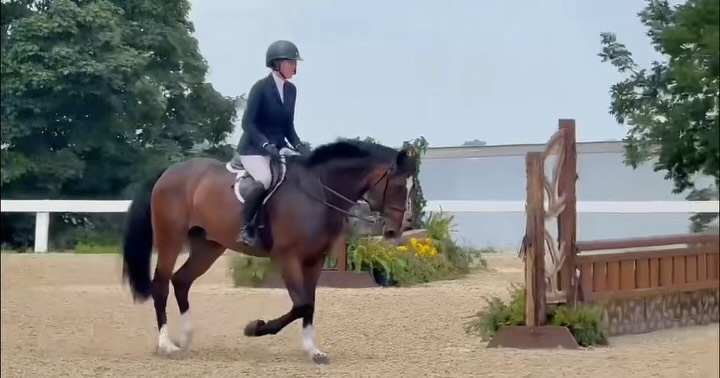 Garth SCF NA | Equitation prospect available for lease or sale. A