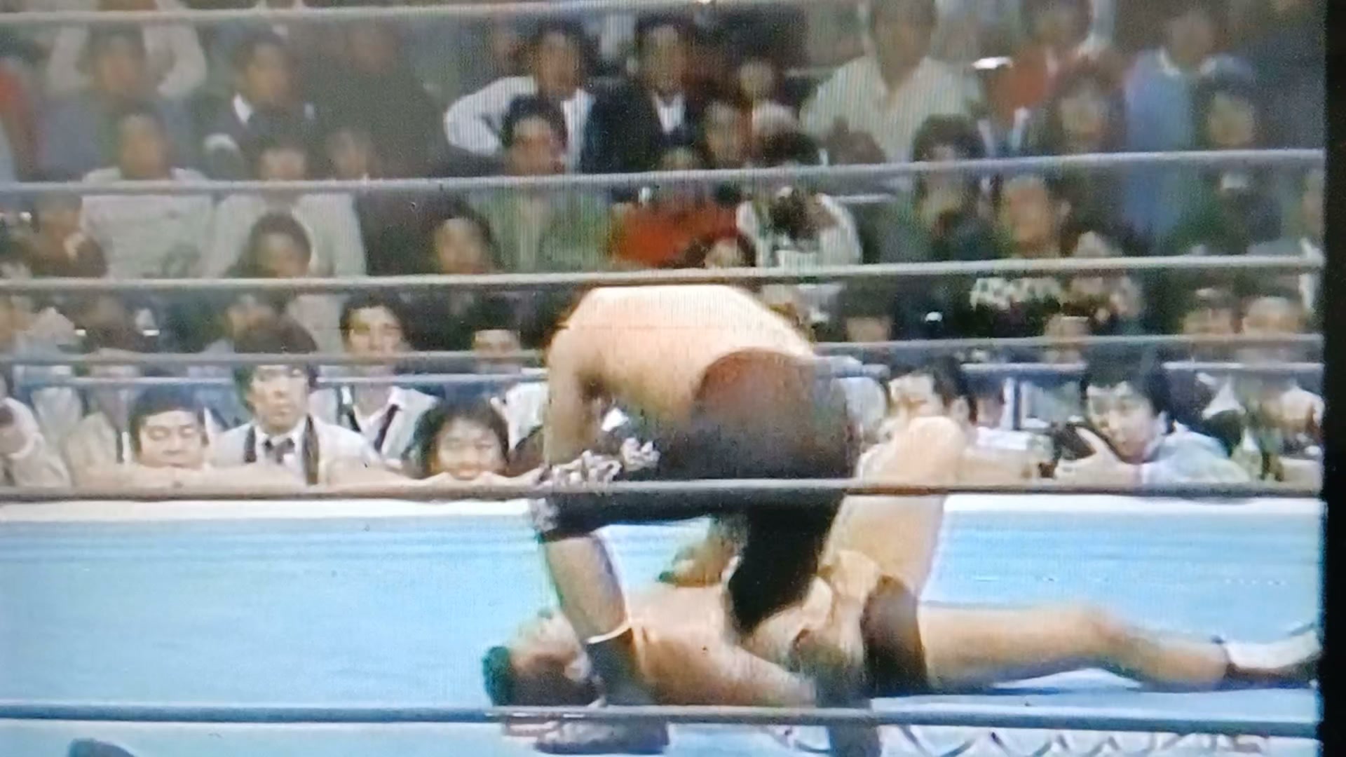 新日本プロレスの伝説…「荒鷲と龍」藤波辰爾、坂口征二さんとの再会