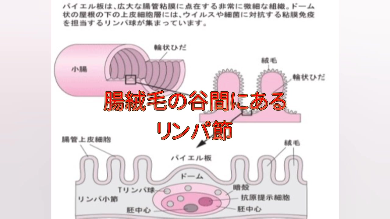 株式会社ビオータ | Toshima Tokyo