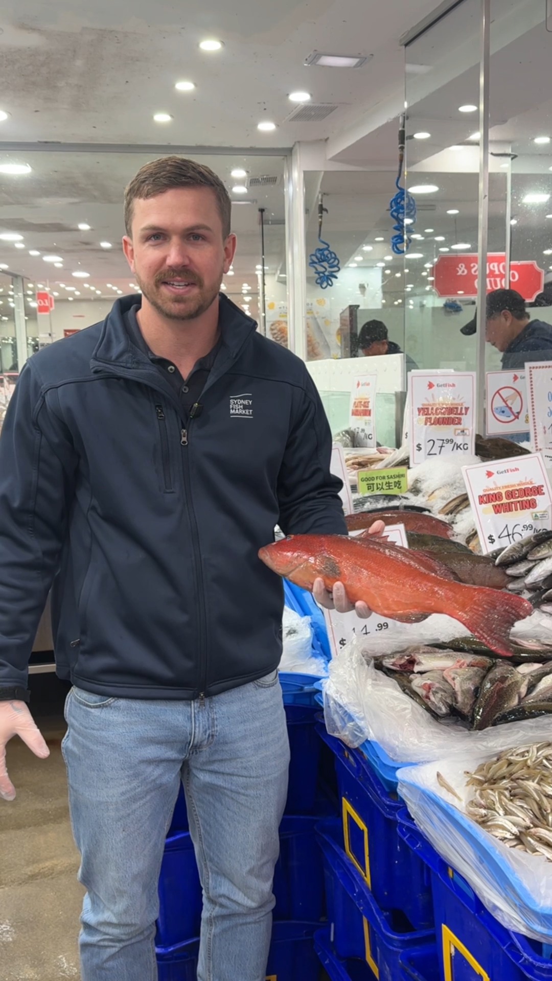 Meet Coral Trout! A premium, mild-flavoured reef fish. Whether you want ...