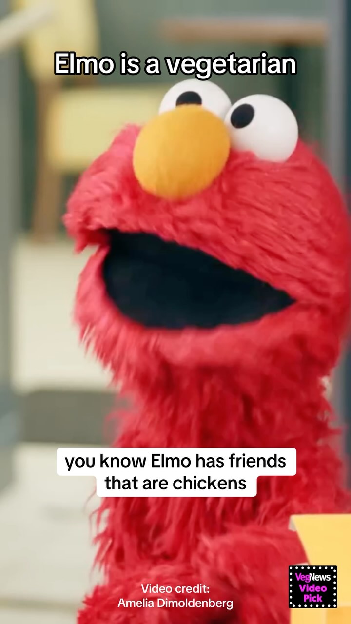 elmo appeared on @chickenshopdate last week with this reveal: he's