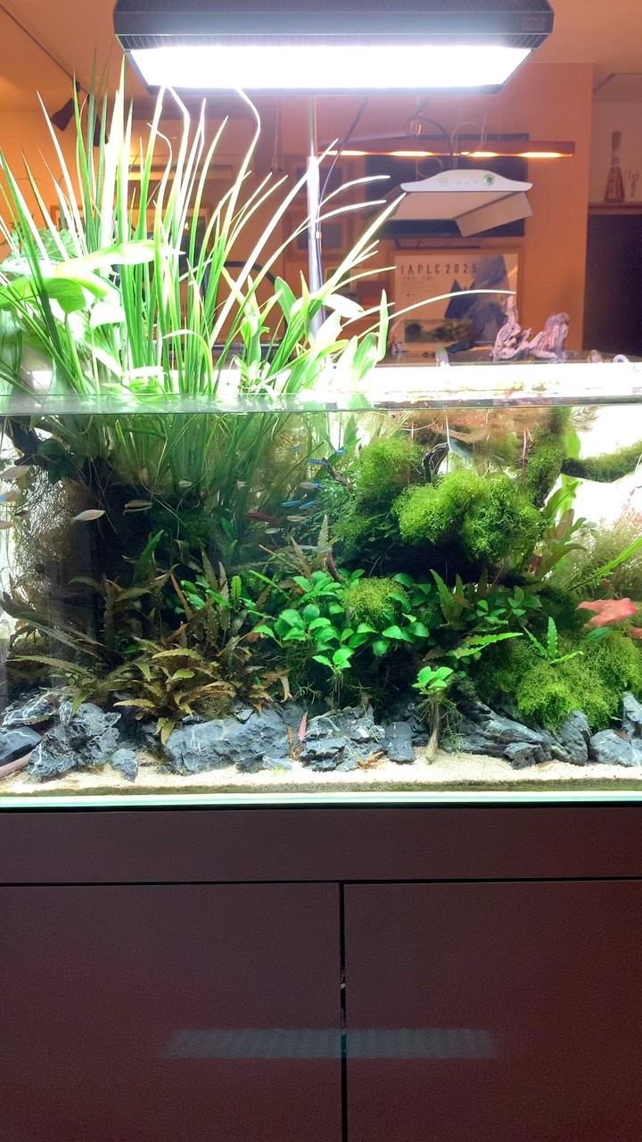 🎉 ADA Aquasky RGB 60 II 🎉 The new Aquasky RGB II are now