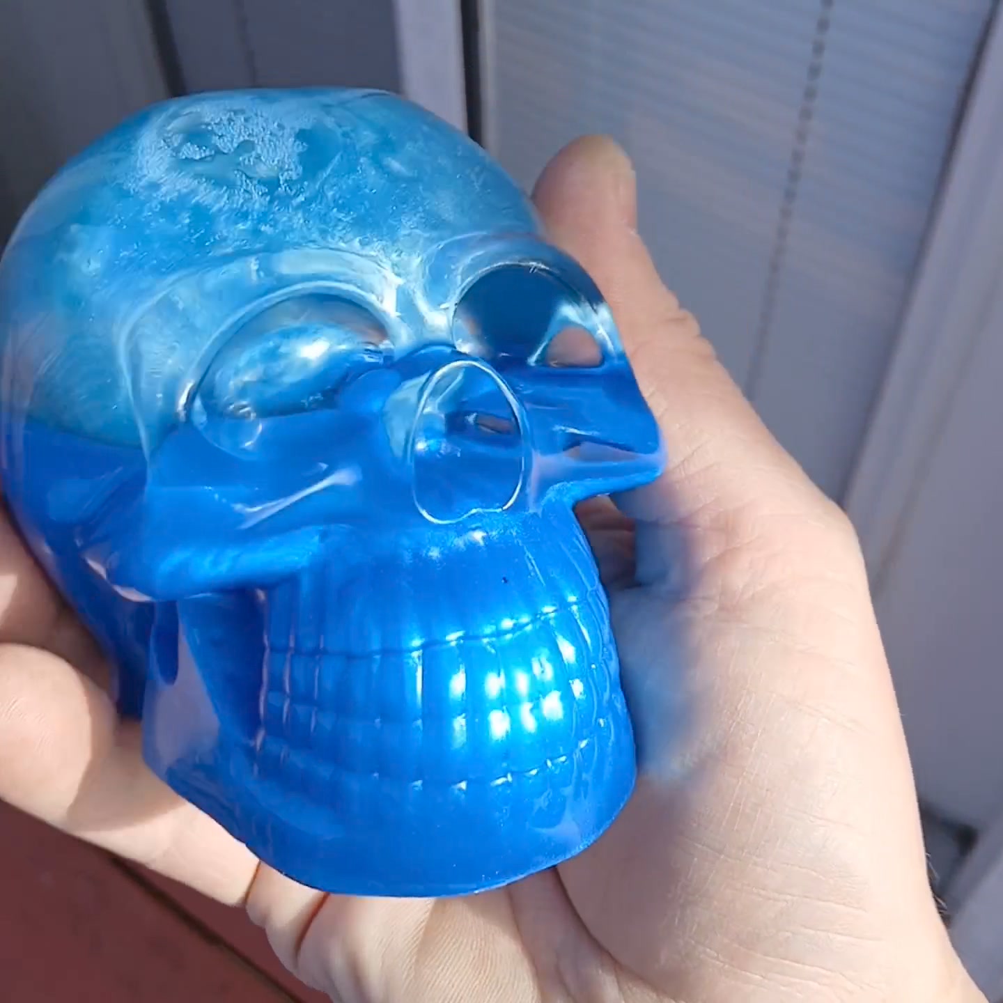 Human brain preserved in resin secondhand find