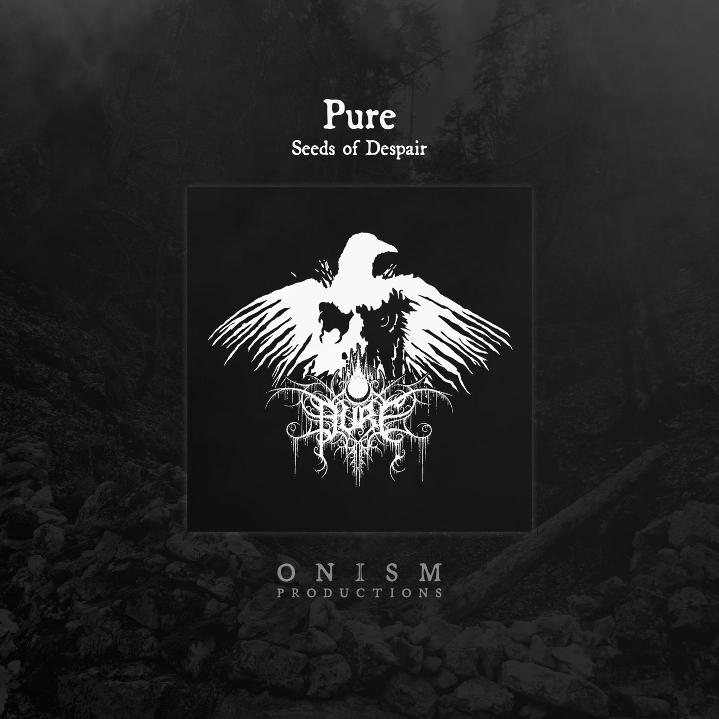 Only built 4 purists album release