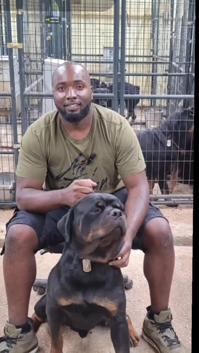 Butler Kennels Rottweilers | Gatesville TX