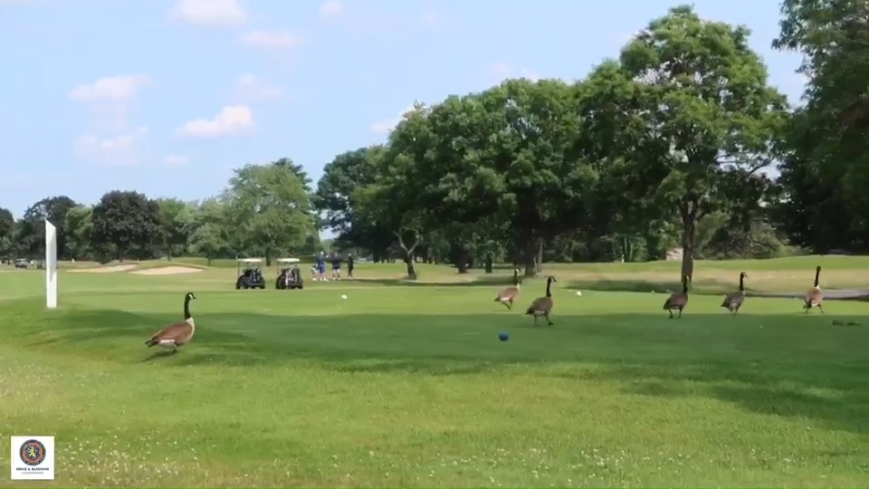 ☀️ Weekend Forecast: Sunny Skies & Perfect Swings! ⛳️ The weather’s ...