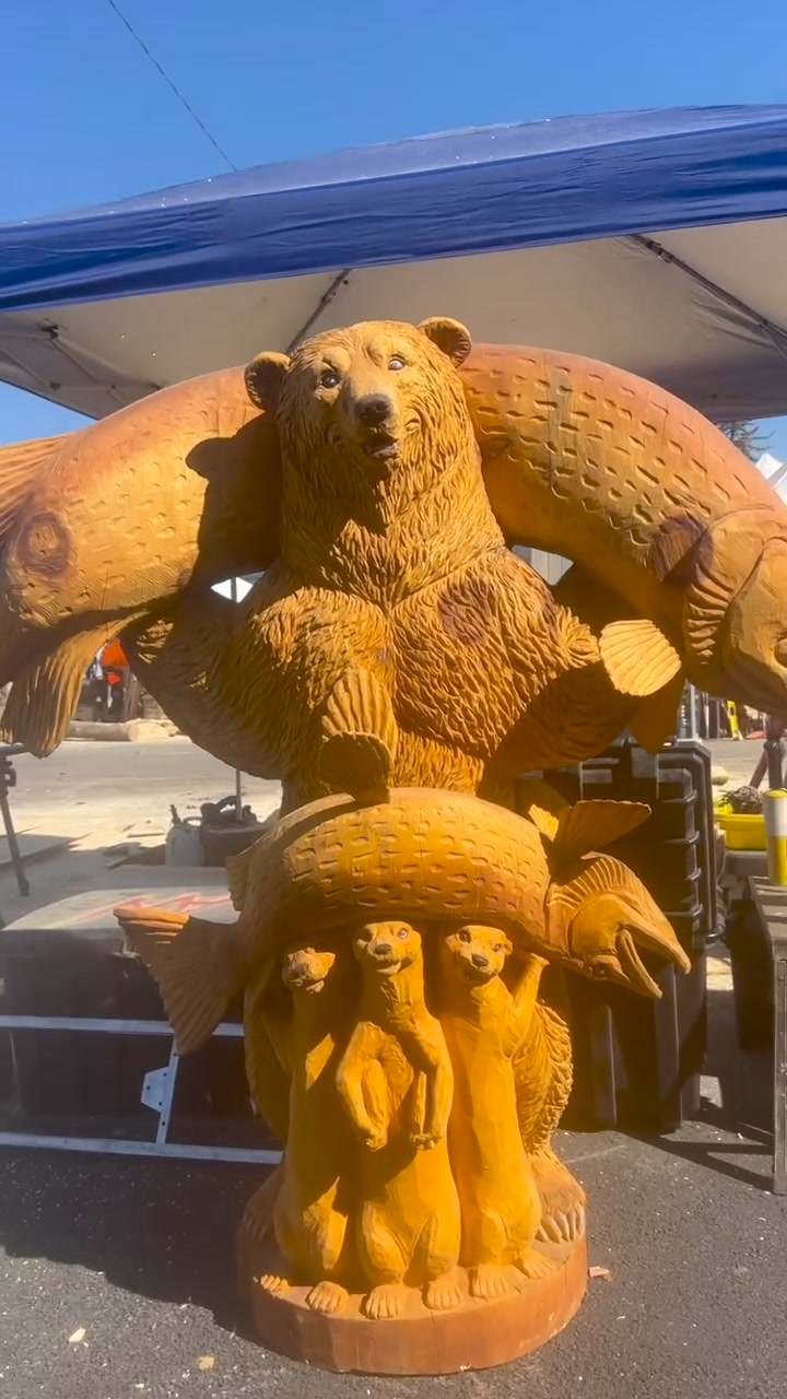 Welcome to the Clash of the Carvers 2024. The world's best carvers