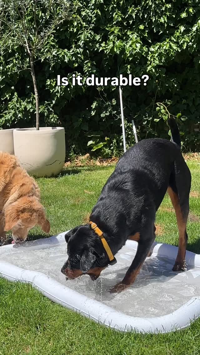 Our Splash Pools are tried and tested by our toughest critic, Koda the ...