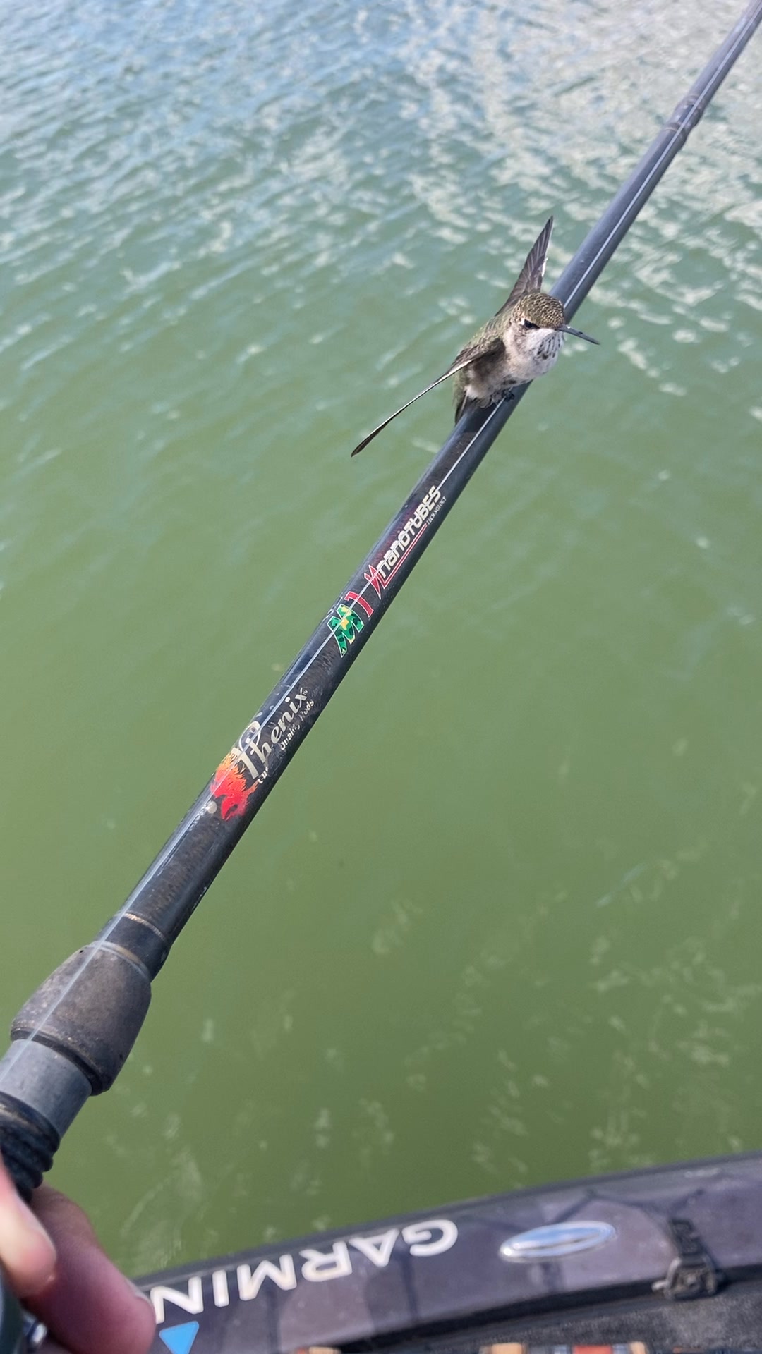 I’ve had some really cool things happen with Phenix Rods in my hand but ...