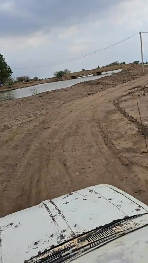 ود الجزيرة