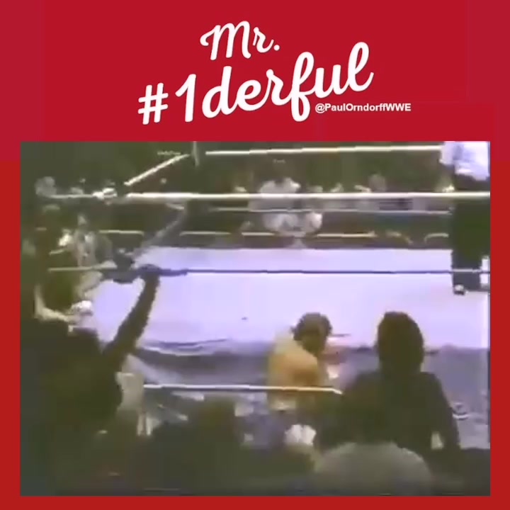Paul Orndorff Andre the Giant vs. Roddy Piper Bob Orton - 8/10