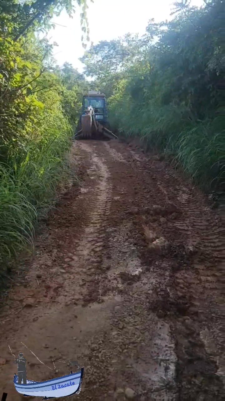 Como Comunidad seguimos interviniendo nuestro acceso a la Comunidad ...