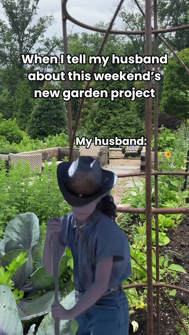 Comment MORE to get my Plate Planting Starter Kit If this sounds like ...