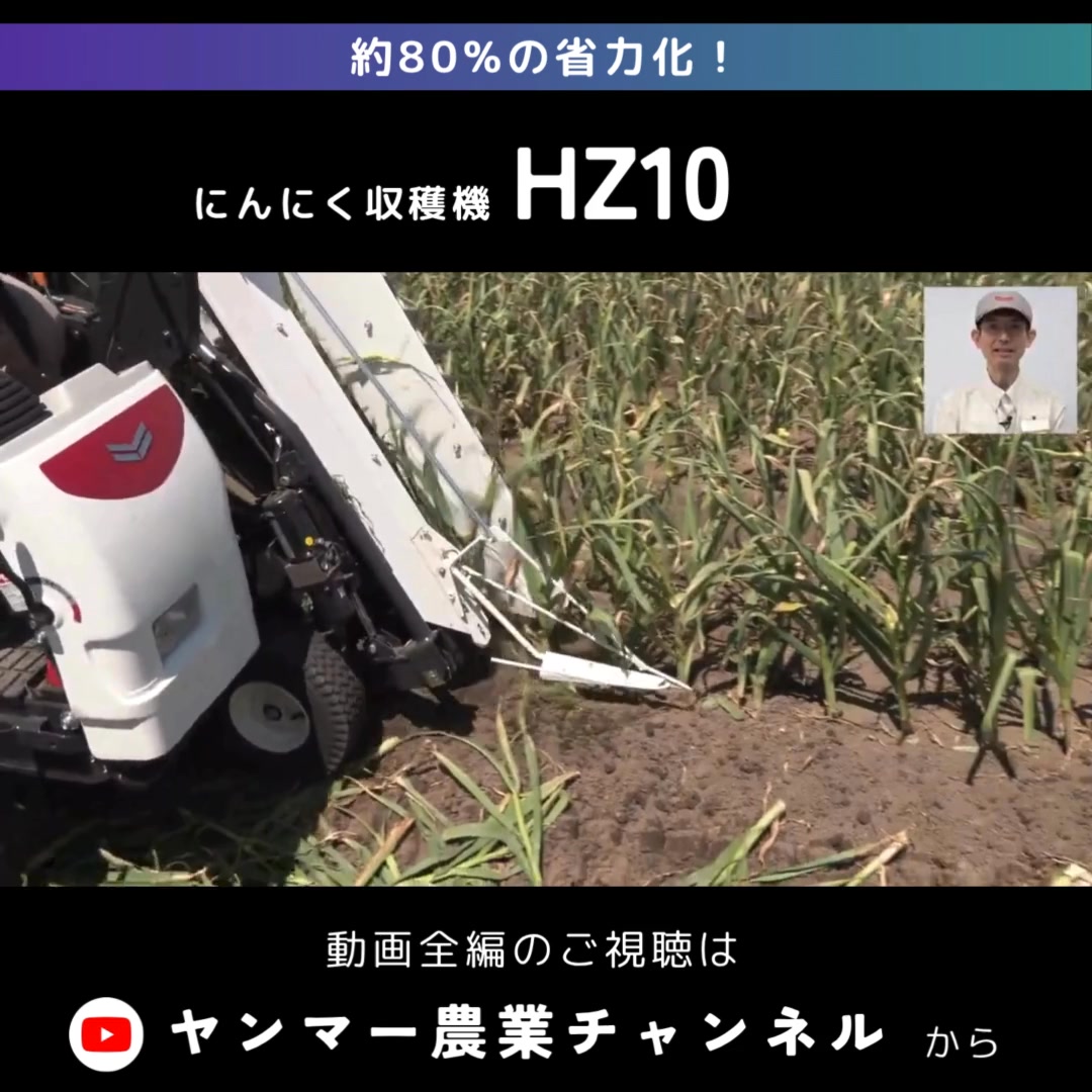 にんにく収穫・根切りをたった2人で高精度に】 にんにく収穫機HZ10は